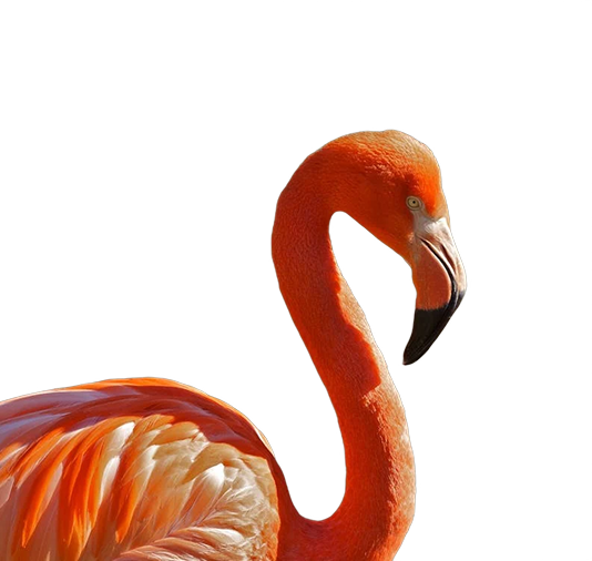 flamingo figure